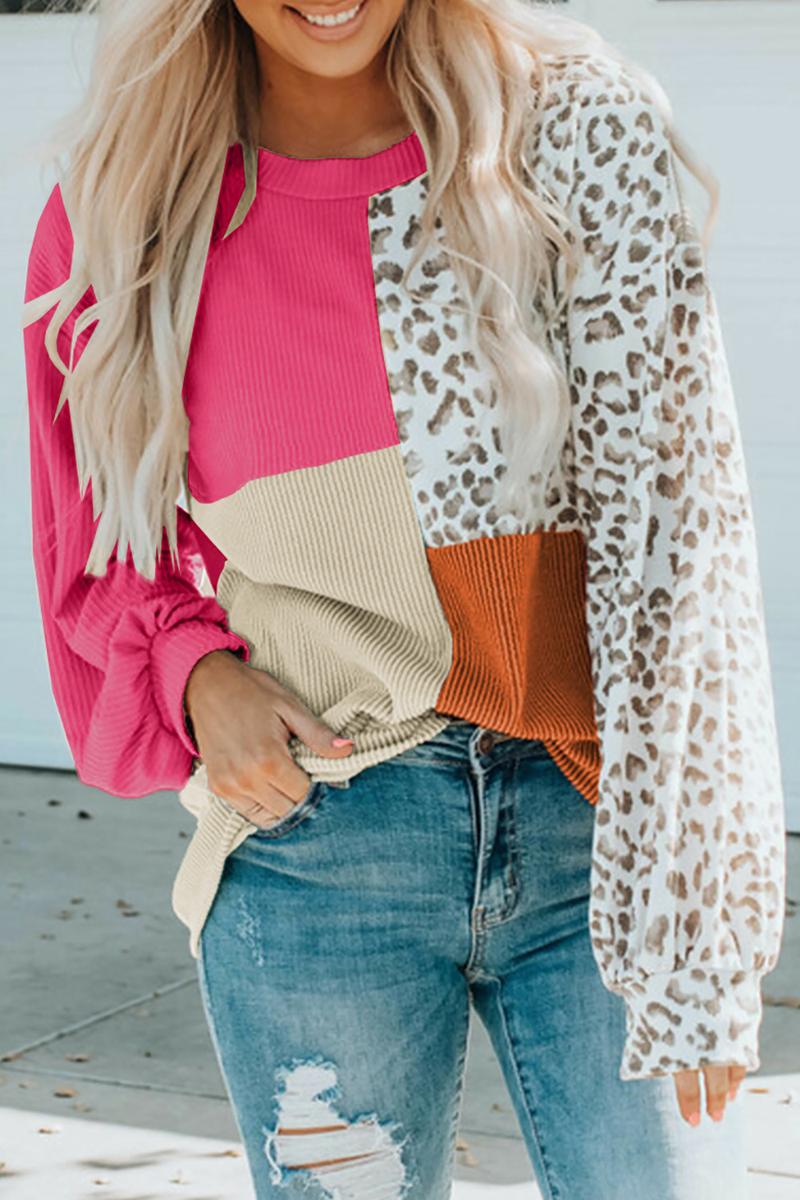 TBG Color-Block Knit Long Sleeve Top